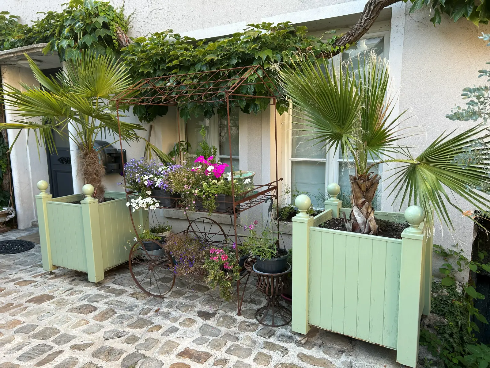 La cour pavée, ses palmiers et ses bacs verts