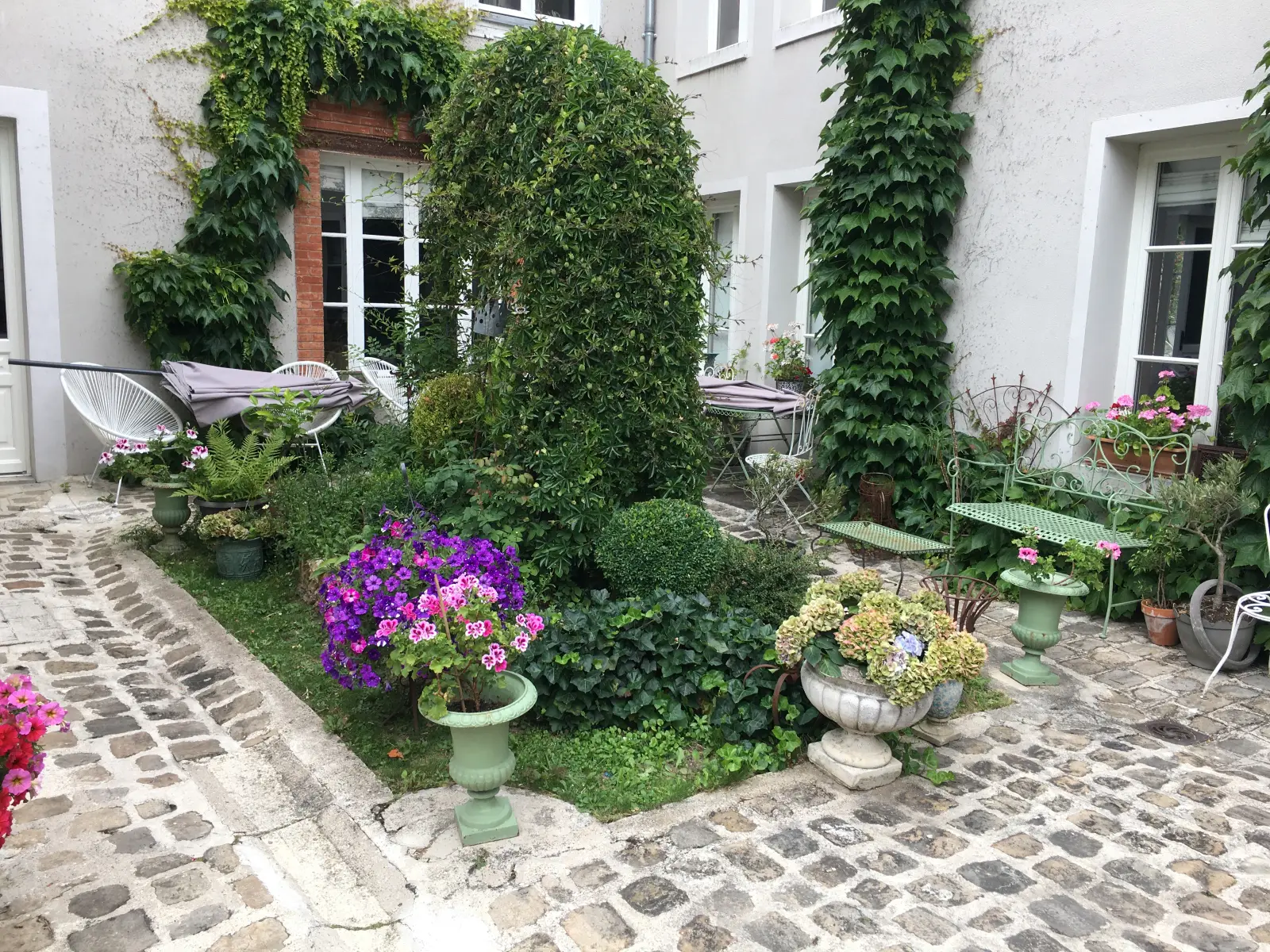 Le jardin de la cour et la façade tapissée de lierre
